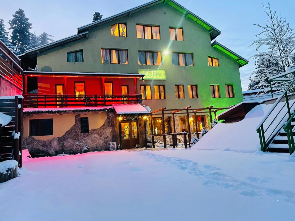 Hotel Forest Star On The Ski Slope Borovets Eksteriør billede